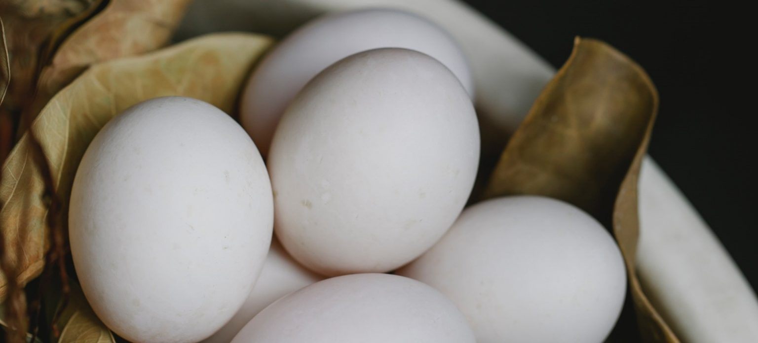 How to Take Eggs Camping A Comprehensive Guide Best Tent for You